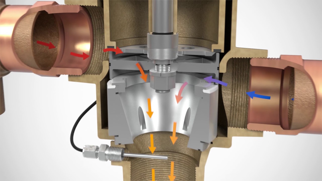 Leonard Valve Nucleus Animation