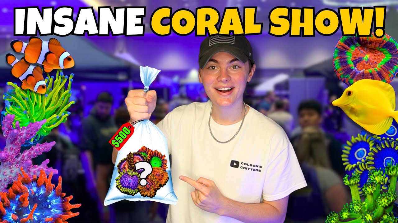 I SPENT OVER $500 AT THIS SALTWATER AQUARIUM SHOW!!! (Reef-A-Palooza 2024)