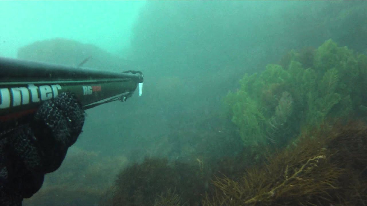 Spearfishing Pyramid Rock