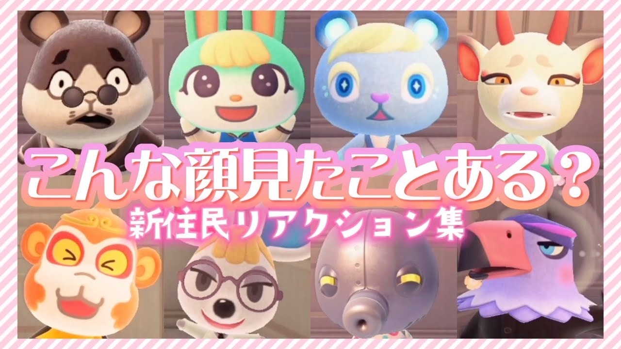 【あつ森】新住民の全リアクション見せちゃいます！かわいい表情や面白い表情も盛り沢山！たまにつっこんでいく！【あつまれどうぶつの森】