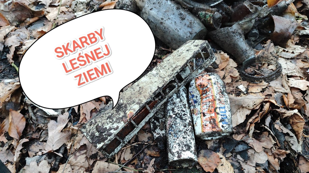 Skarby leśnej ziemi🤐
