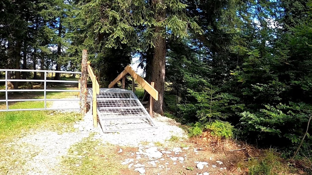 Salzkammergut 2025 - Strobl - Illingerbergalm - Strobl MTB (1440p)
