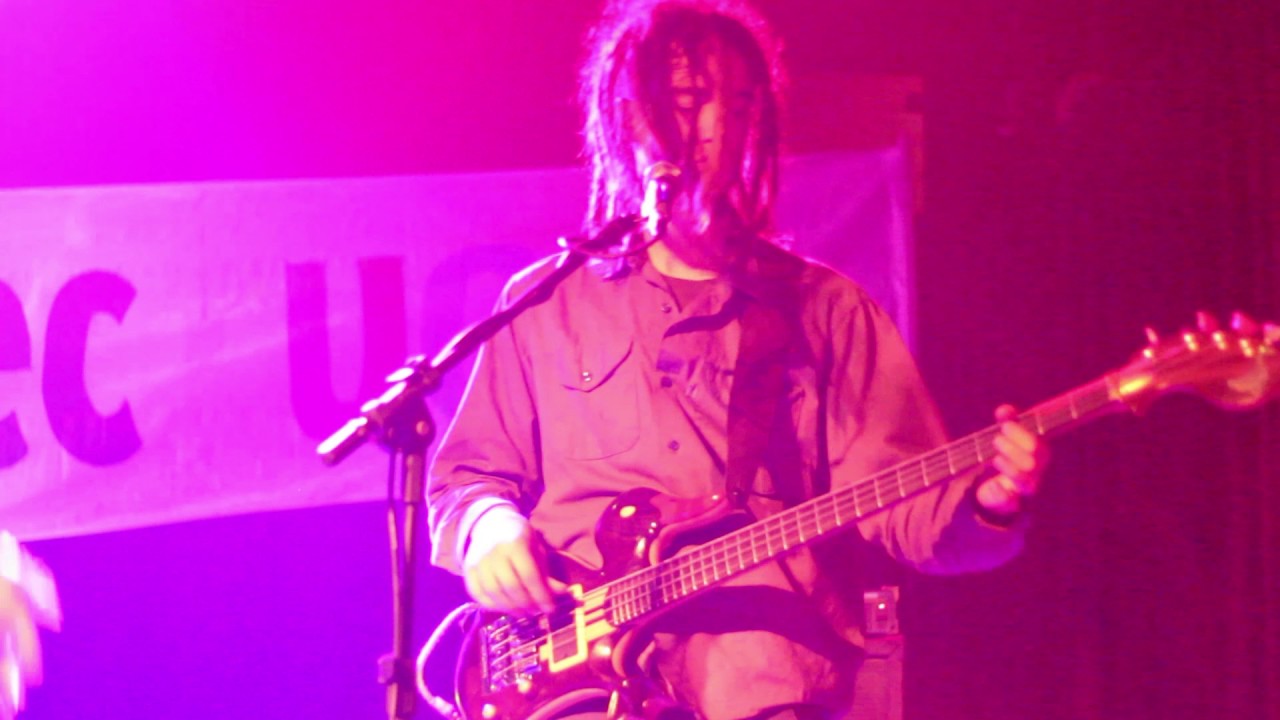 PATO DEFECTUOSO EN VIVO - Carne Bondiola