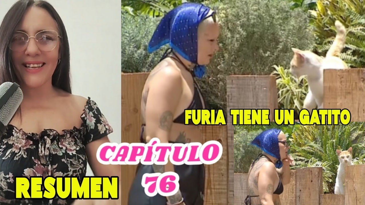 FURIA TIENE UN GATITO 😻 FURIA VS ARENITA y más.. CAPÍTULO 76 #elinternado 