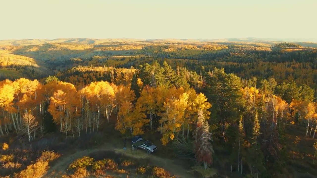 Fall in the Wasatch Plateau