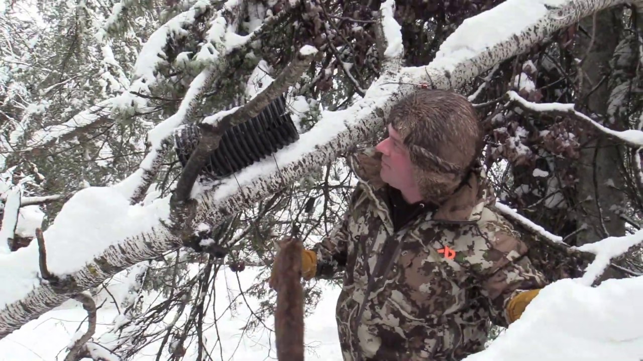 Trapping Marten on a Leaning Pole Set