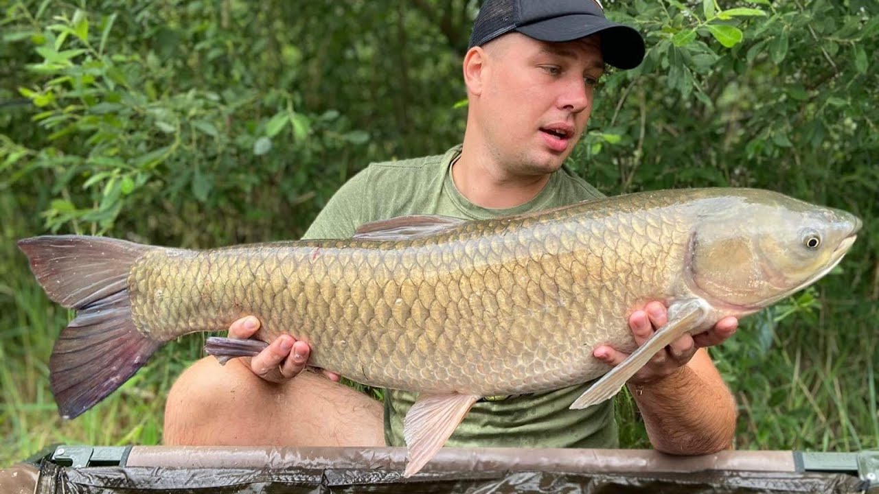 CHWAŁOWICE 21 RYB ŁĄCZNIE 150 KG ALE SEZON! #23