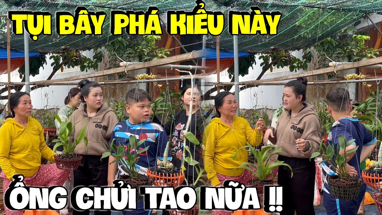 Đám Báo Hợp Lại Vợ Chồng Dì Hương Chuyến Này Hơi Mệt À Nha