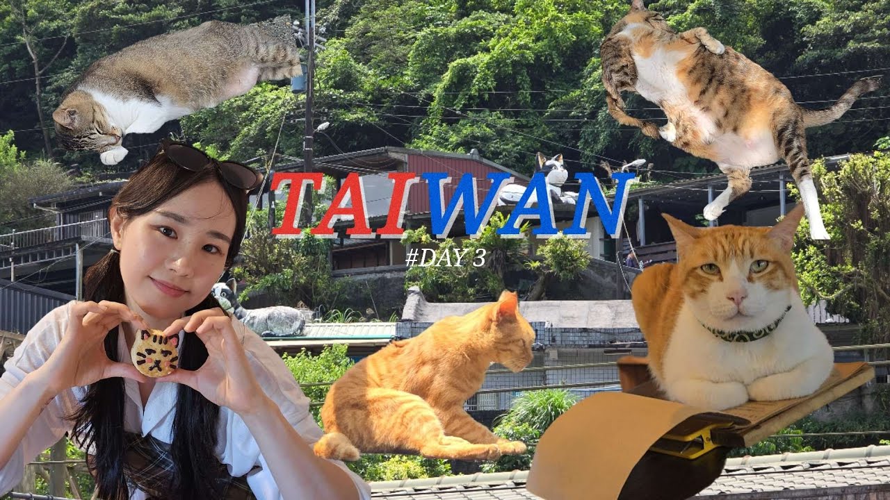 [대만여행🇹🇼] 힐링되는 고양이 천국, 허우통에서 귀여운 고양이랑 카페 합석🐈🧡