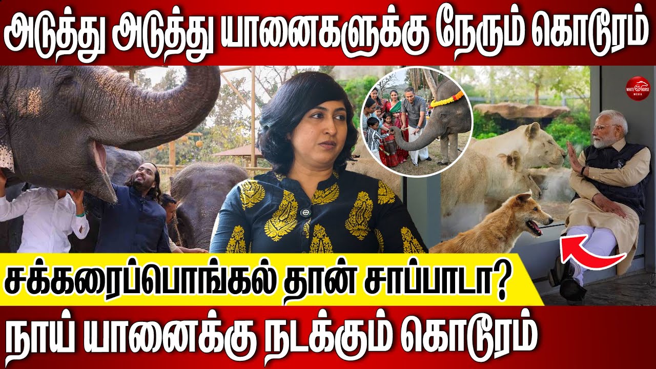 மிருகங்களையும் மனுஷங்களையும் ஒண்ணா பார்க்க கூடாது |  எச்சரித்த சுதா சந்திரசேகர்