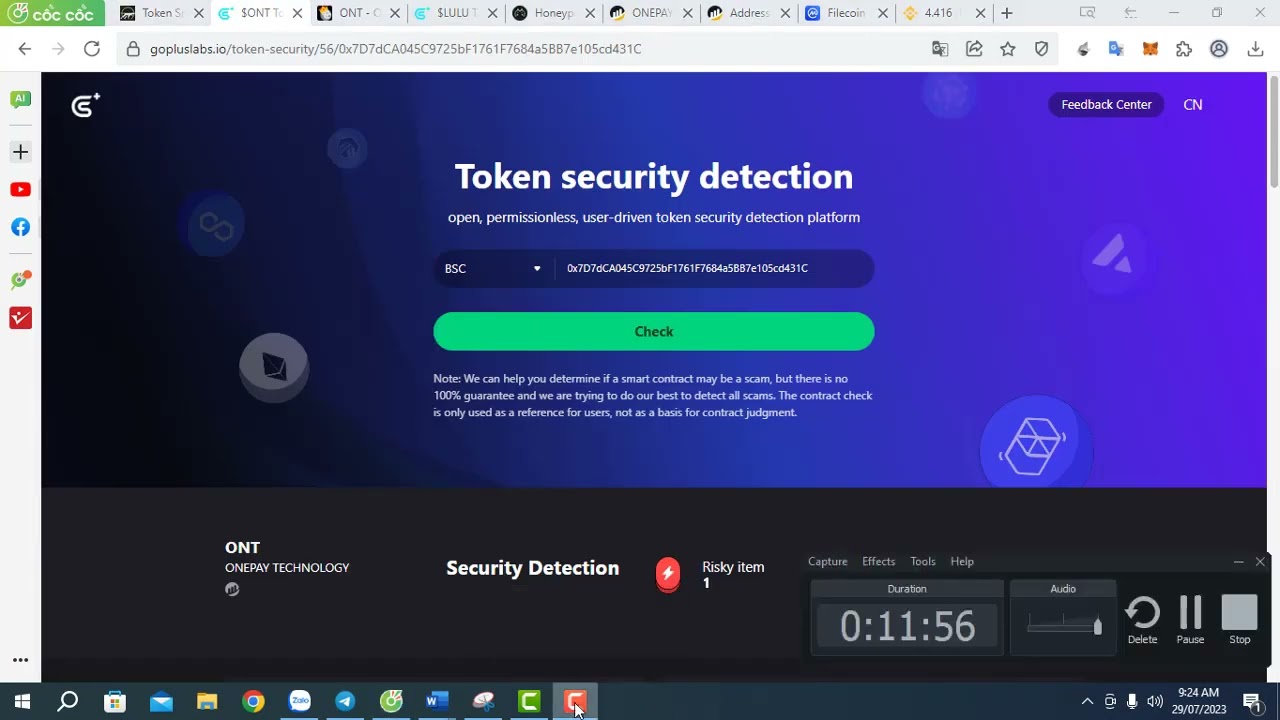 Chi tiết dự án ONT  ONEPAY Technology