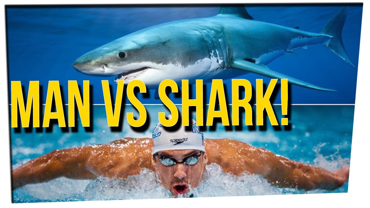 WEEKEND SCRAMBLE - Michael Phelps Planning to Race Great White Shark! ft. DavidSoComedy