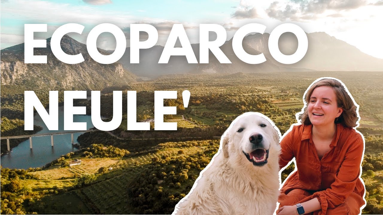 Vanlife auf Sardinien: Ecoparco NEULE' + Banditenstadt Orgosolo