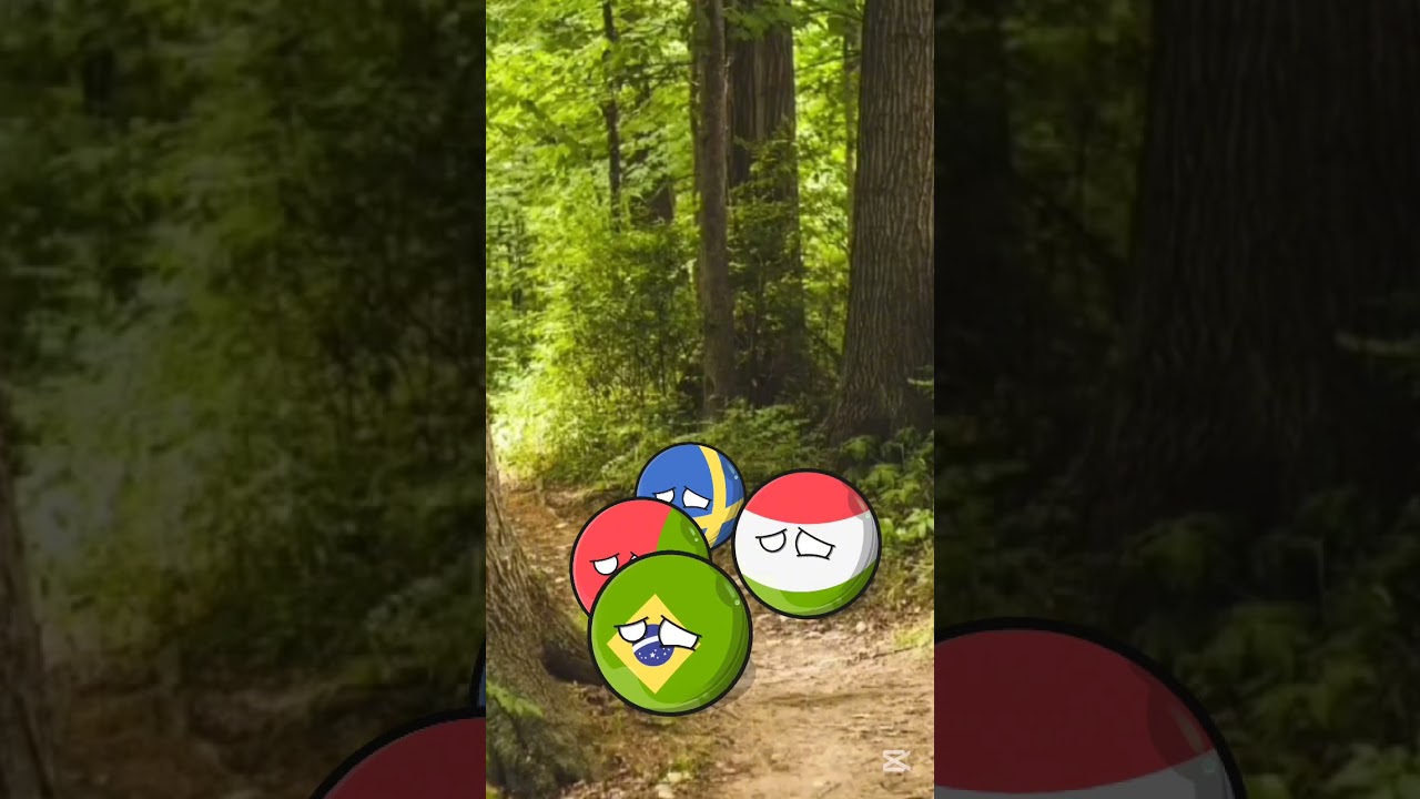 Countryballs Bunkrowcy. Part 37: Ucieczka Lasowa