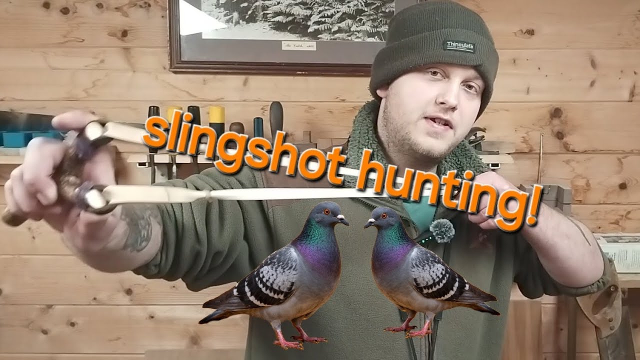 Slingshot hunting feral pigeon pest control