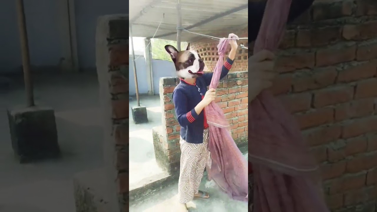 56 Bala Bala Shaitan Ka Sala 💥💥😂😂🍭🍭