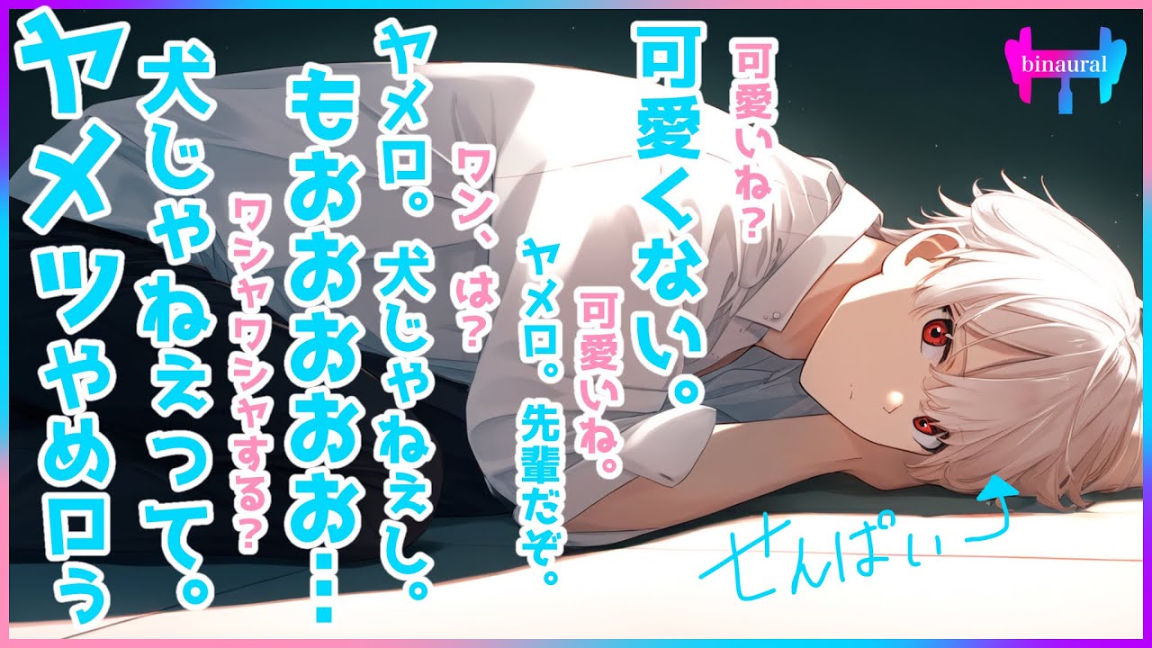 【女性向けボイス】人懐っこそうに見えて超人見知りな先輩くんは君にだけ懐いている【柴犬系男子/シチュエーションボイス】