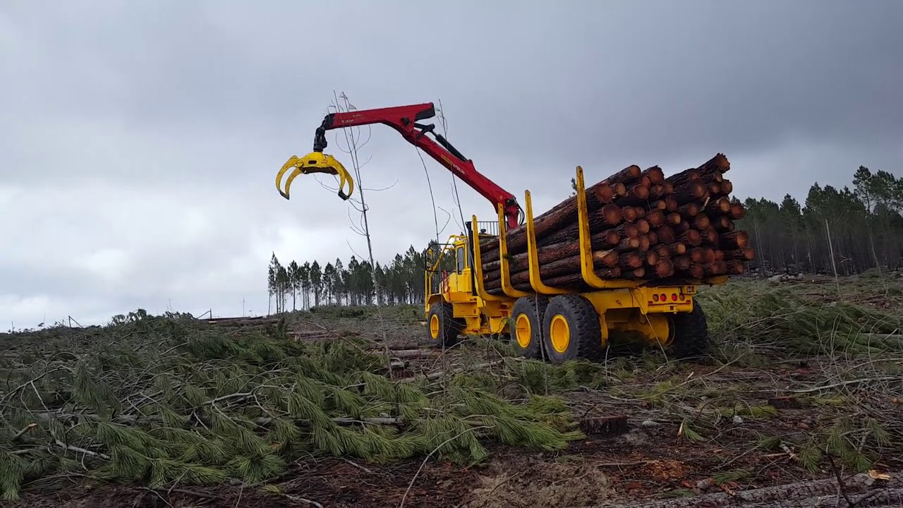 Dezzi Timbertruck