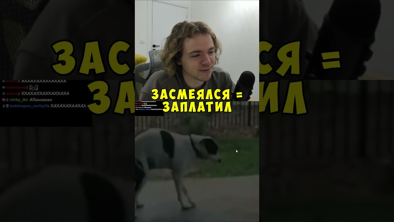 Засмеялся = Заплатил ► twitch: fivfiv001 #fivfiv001 #фывфыв #fivfiv