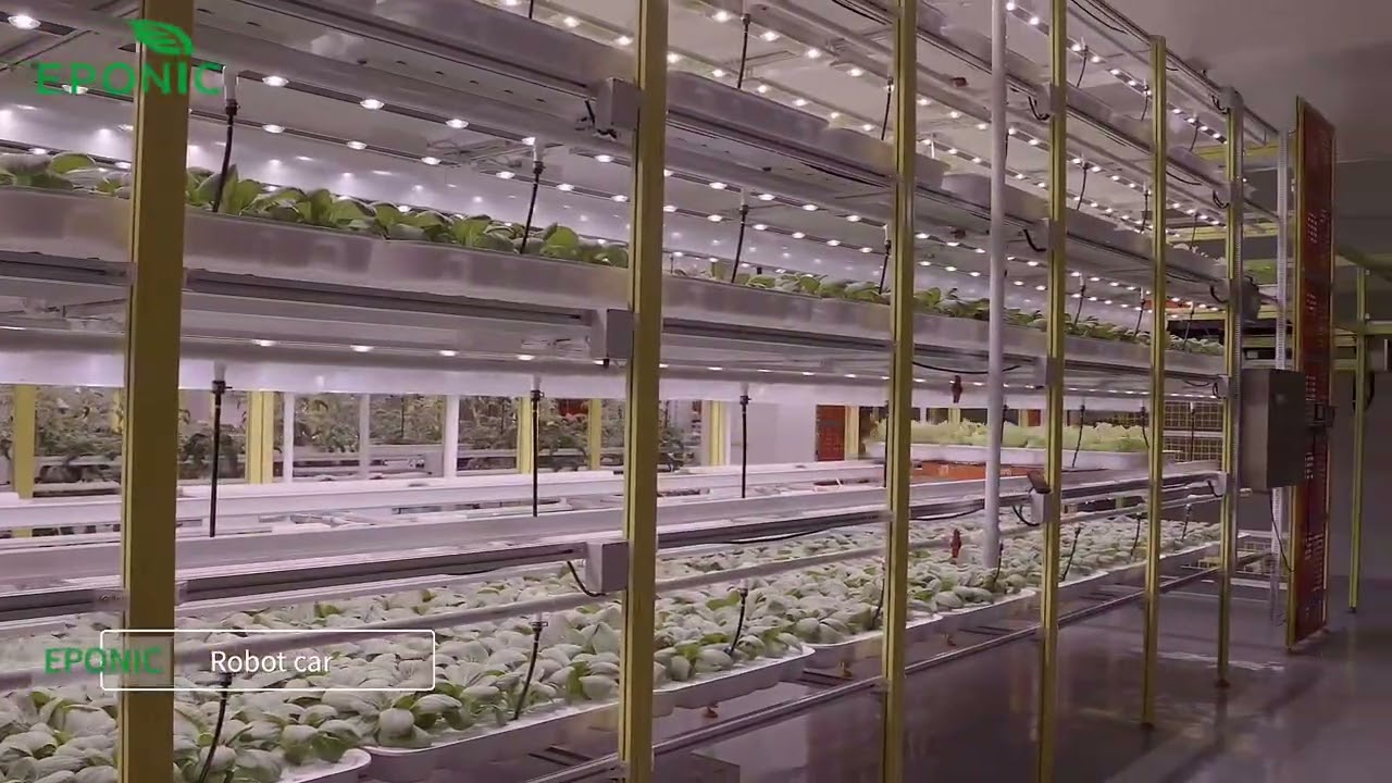 automation plant factory system