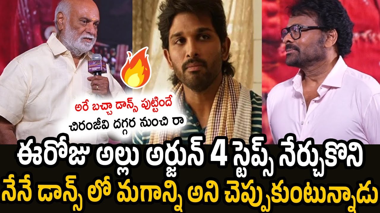 Raghavendra Rao Serious Comments On Allu Arjun | Chiranjeevi | MSG Industry Hit Celebrations
