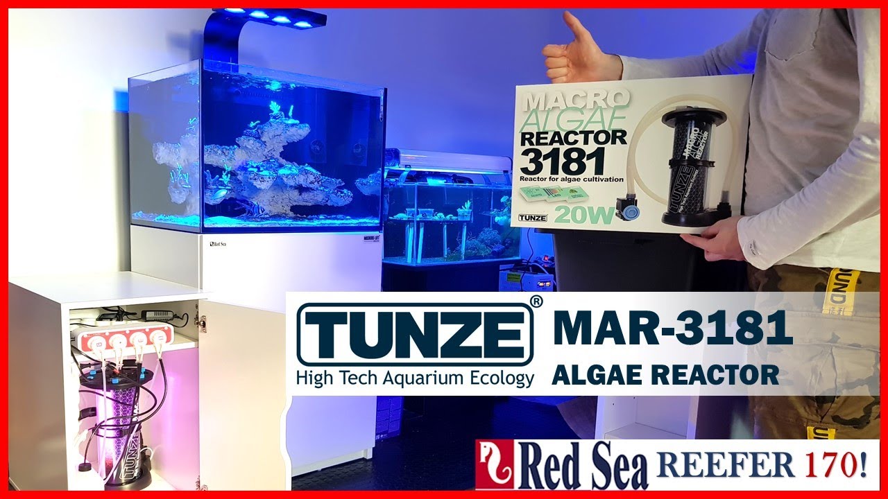 [Reefer170] TUNZE MAR 3181 ALGAE REACTOR 🌿 PROJEKT👉Akwarium morskie krok po kroku🔥