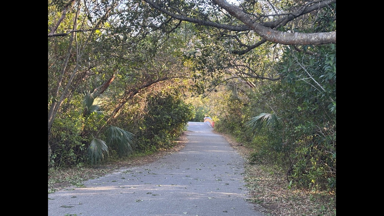 Relaxing Bike Ride #4 — Pinecrest to Deering Estate via Chinese Bridge