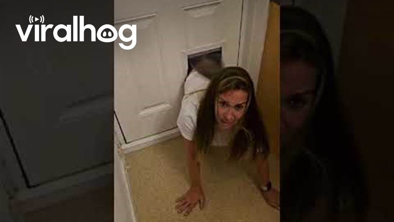 Woman Gets Stuck in Dog Door || ViralHog