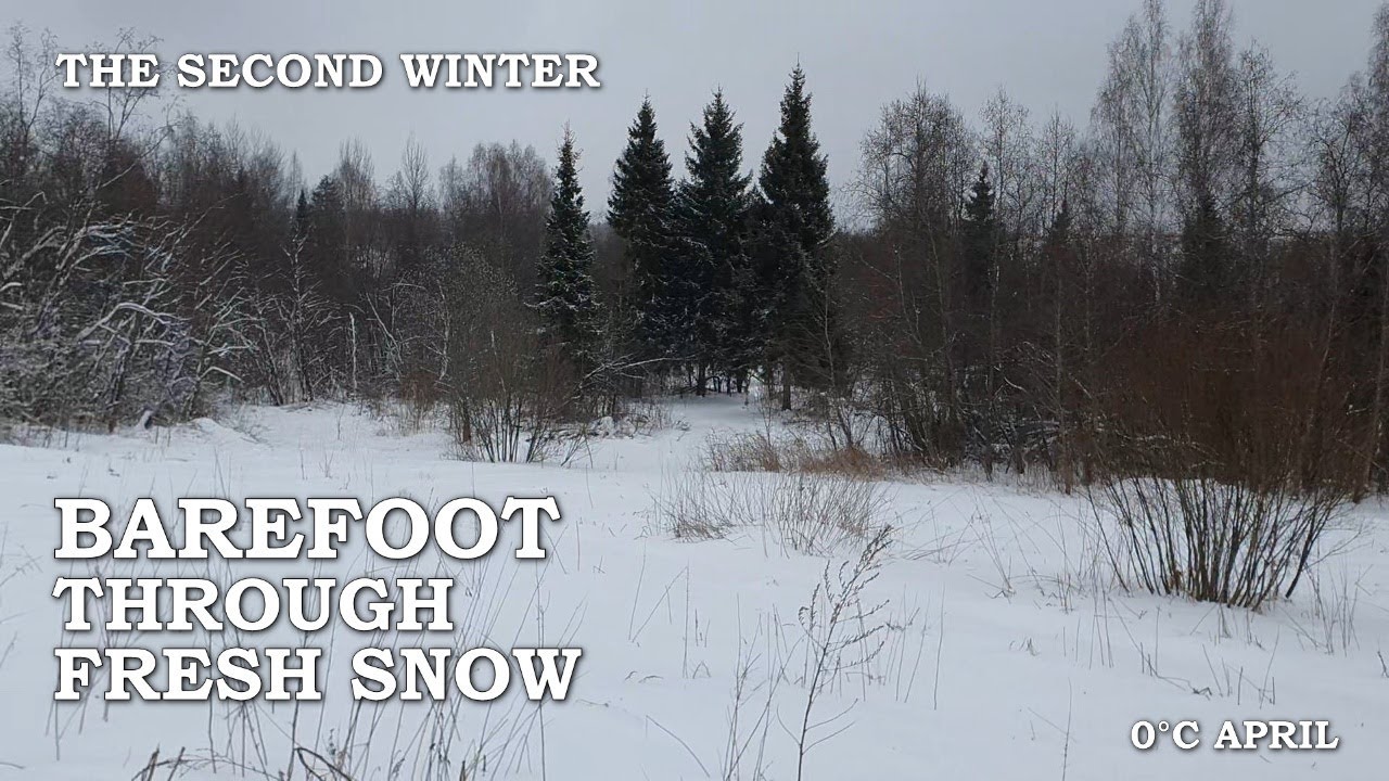 barefoot through fresh snow / the second winter, april 2025