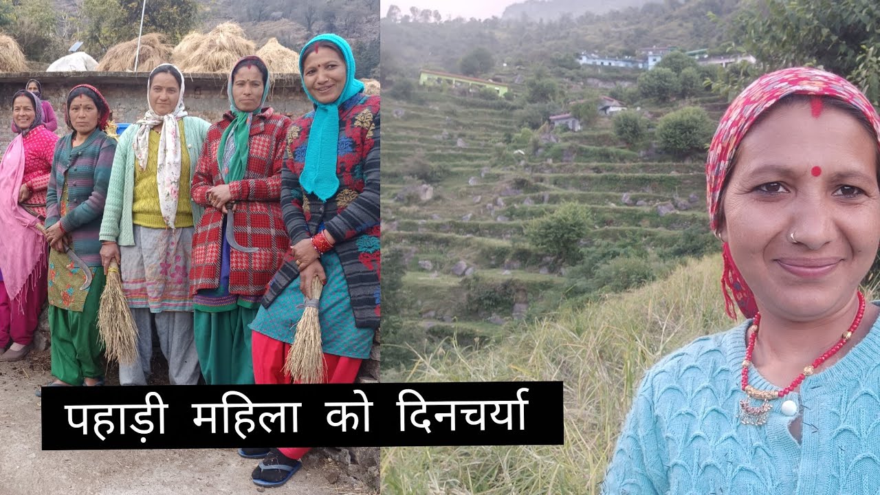 आज की दिनचर्या पूरी वीडियो के साथ पहाड़ों का कामकाज हमेशा यूं ही चलता रहता है पहाड़ी लाइव🙏💐❤