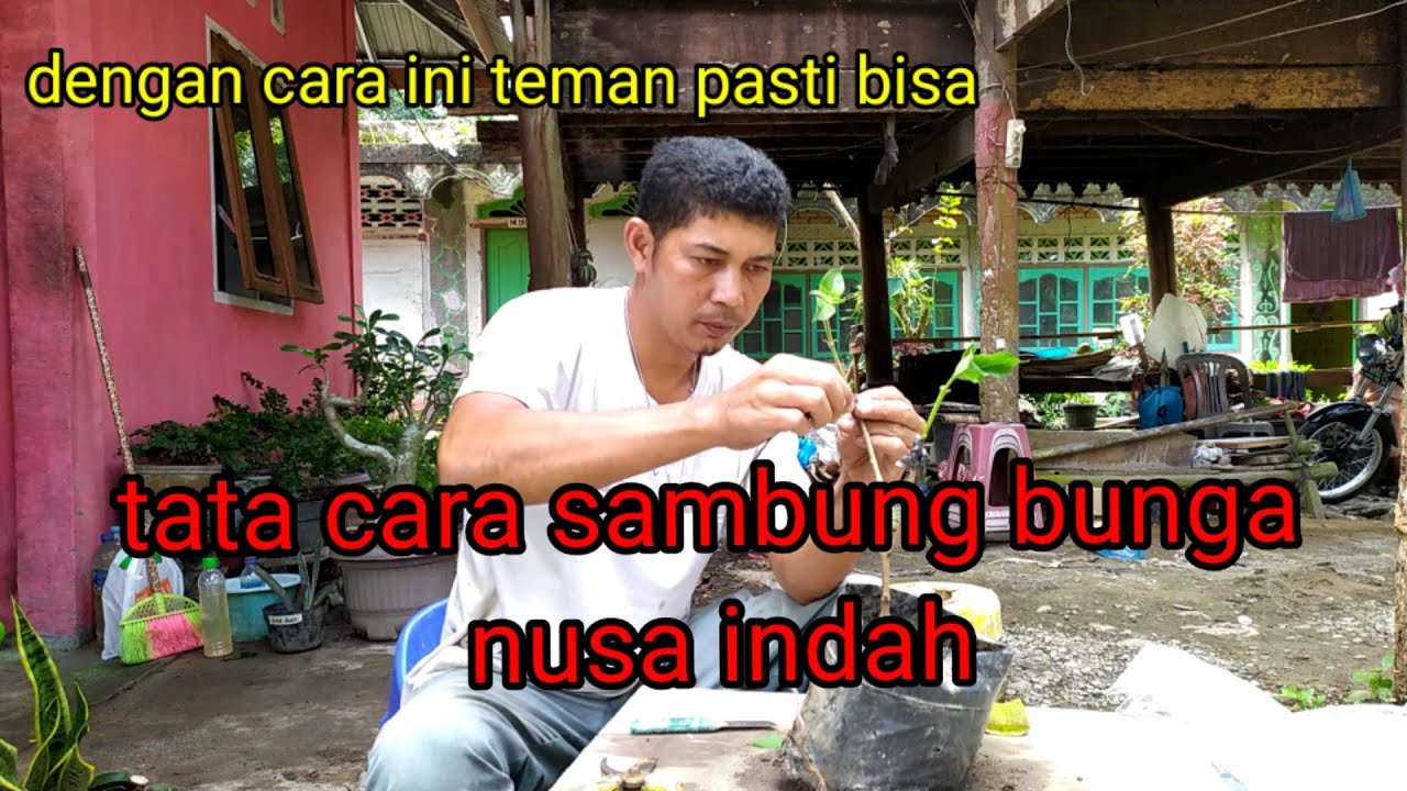 Cara sambung nusa indah langsung berhasil