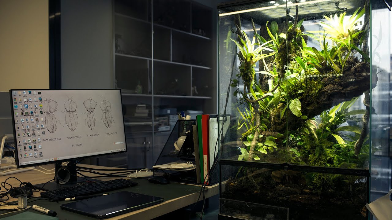 Build a bio activated vivarium like Pro