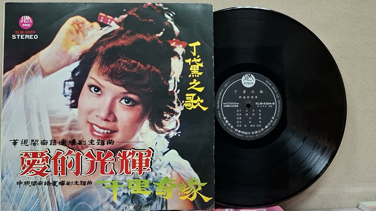 真情的愛   丁黛