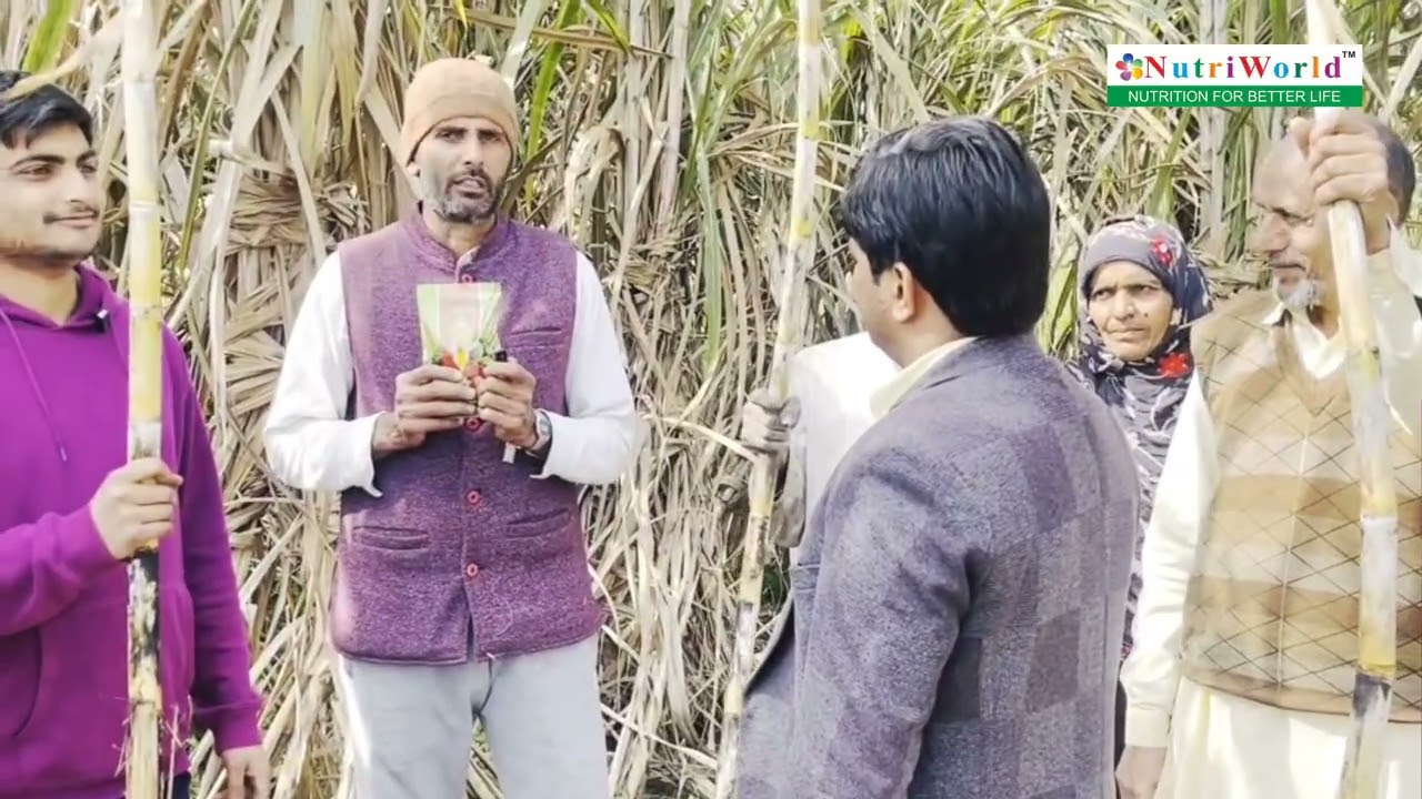 साडावीर ने गन्ने की फसल में किया कमाल। Sadaveer | Nutriworld 