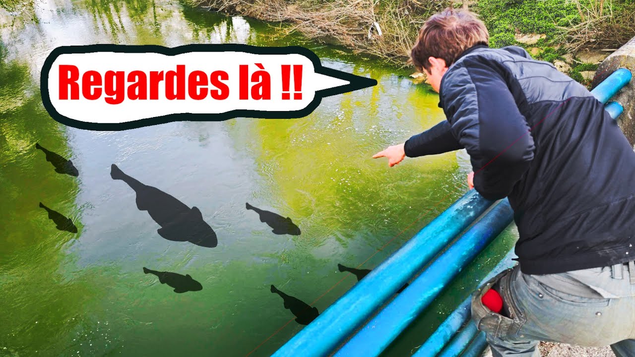 J'aperçois un MASTODONTE depuis le pont, c'était épique