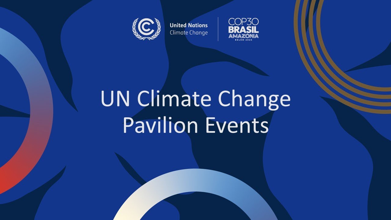 Goals That Work: Turning Corporate Lessons into National Climate Action