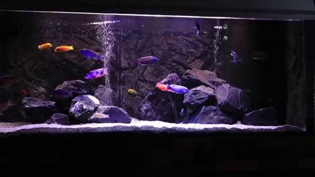 Malawi Männerbecken