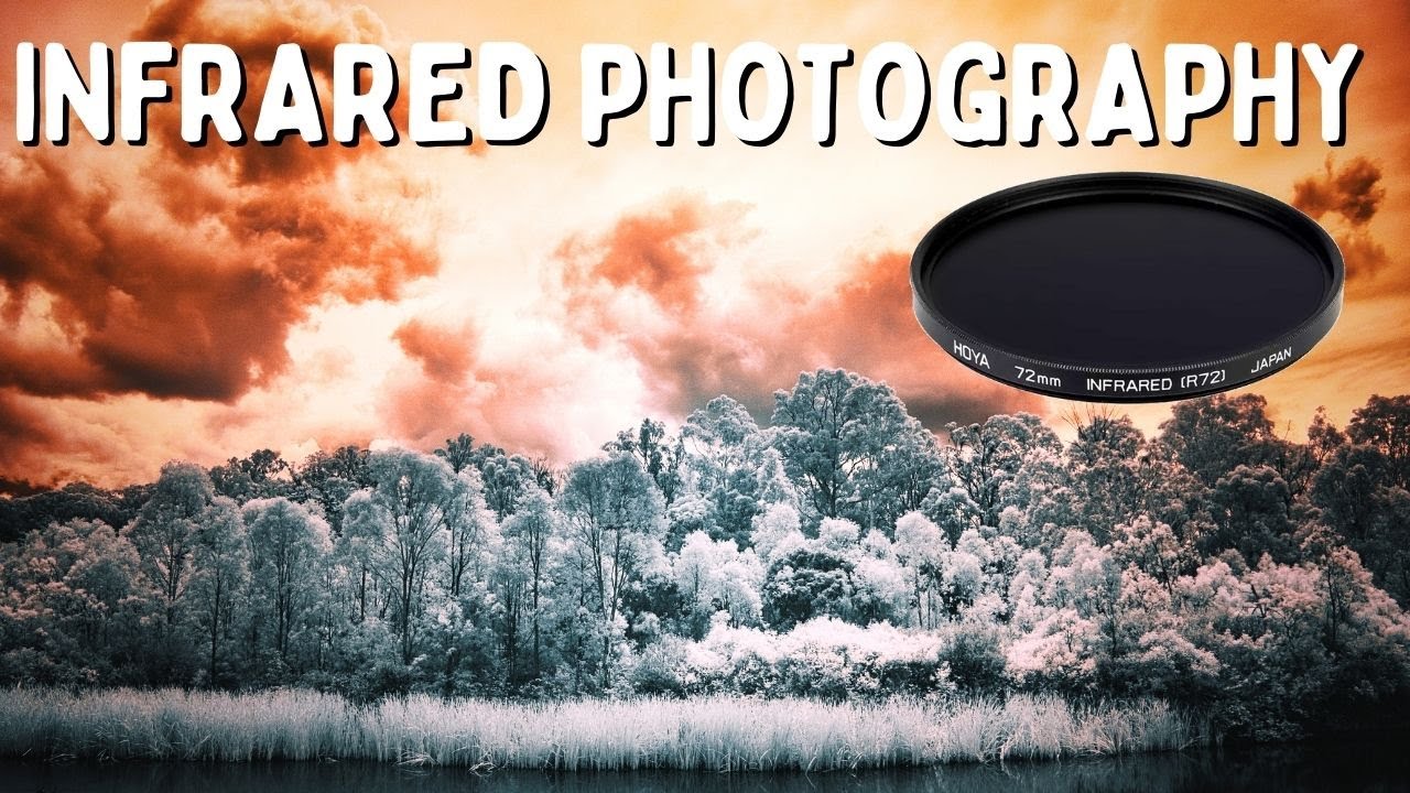 Infrared Photography Filter - Australian Bush Trees & Lakes | Olympus M43