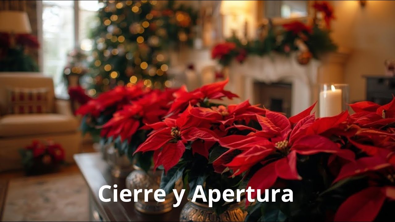 Cerramos Noviembre y Rellenamos Diciembre. Y plantas.