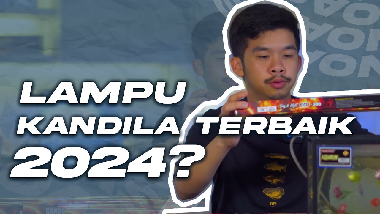 LAMPU AQUARIUM TERBAIK 2024?? - LAMPU KANDILA DAY & NIGHT ECO