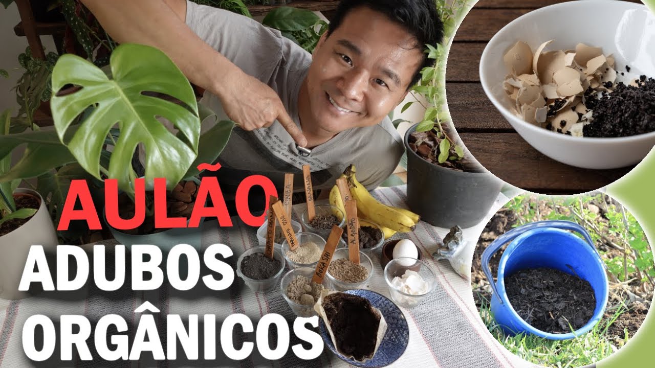 Aulão de ADUBOS ORGÂNICOS