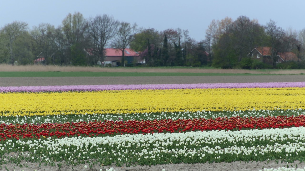 Rondje Brouwershaven