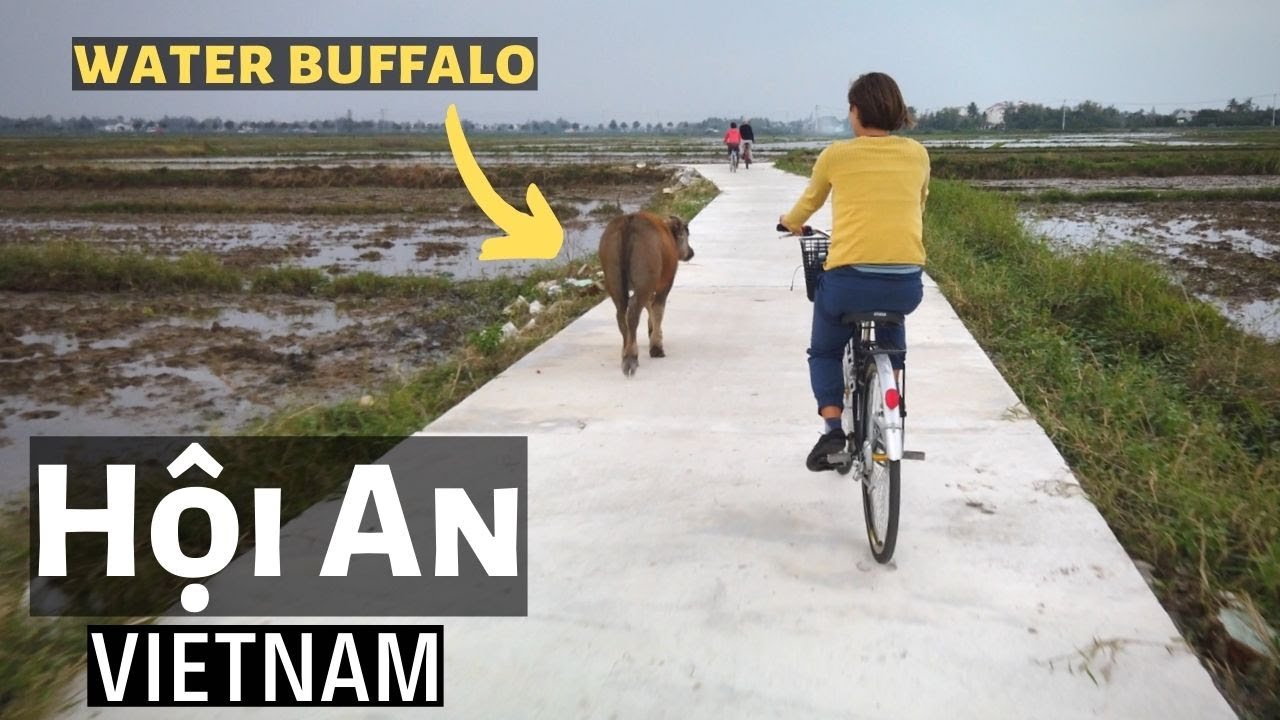 Hội An Bike Tour with Local Friends