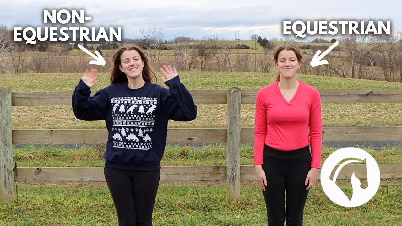 Things Non-Equestrians Say | Part 3
