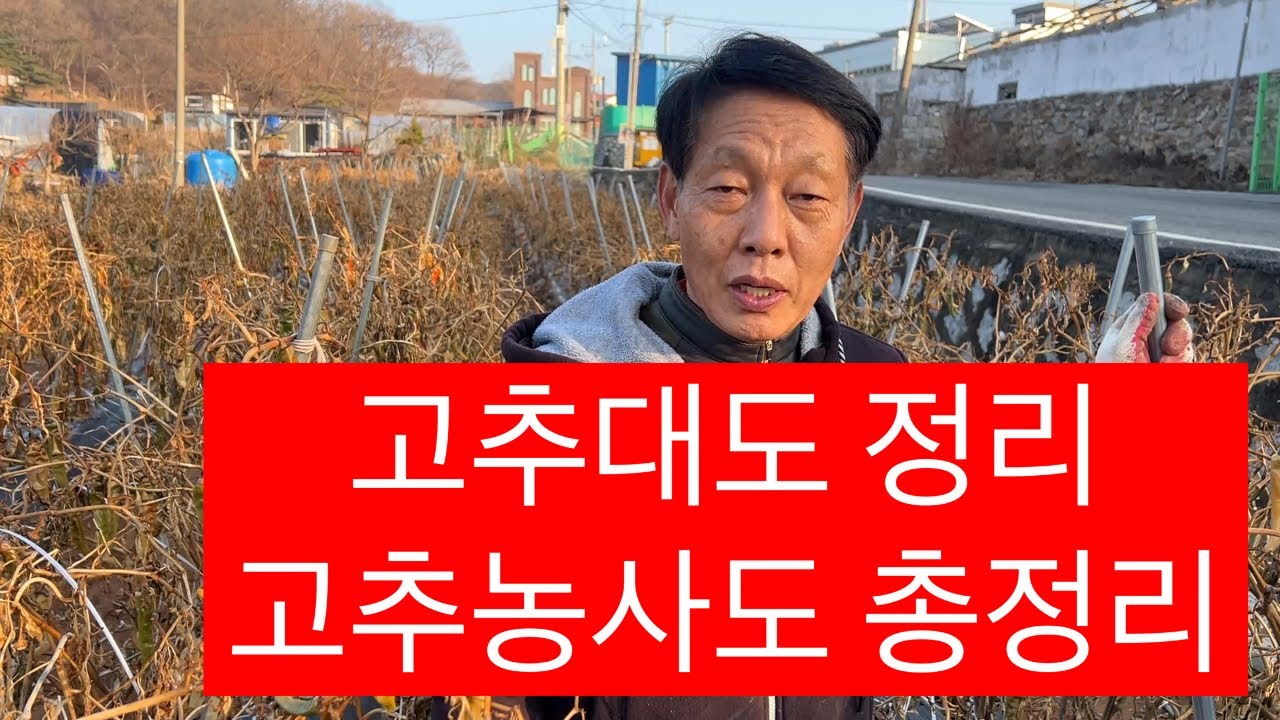 고추농사 정리!