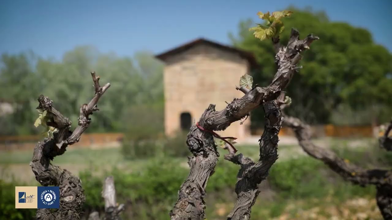 Alt Camp Història i Patrimoni