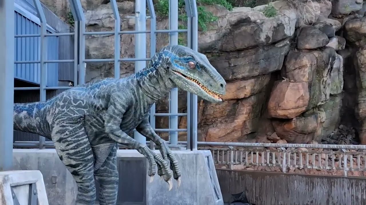 Blue and trainer @Jurassic Park  Universal  Dic/25