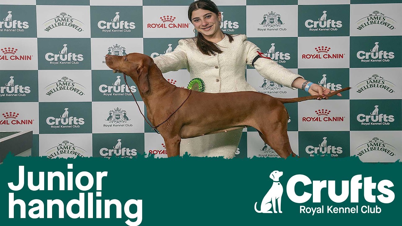 Joe Cartledge Memorial International Junior Handling Competition - Part 1 | ​Crufts 2026