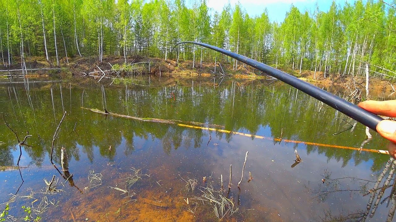 СТРАШИЛИЩА из ЛЕСНОЙ ЛУЖИ! Рыбалка в затопленном овраге. Ловля ротана на БОКОВОЙ КИВОК!