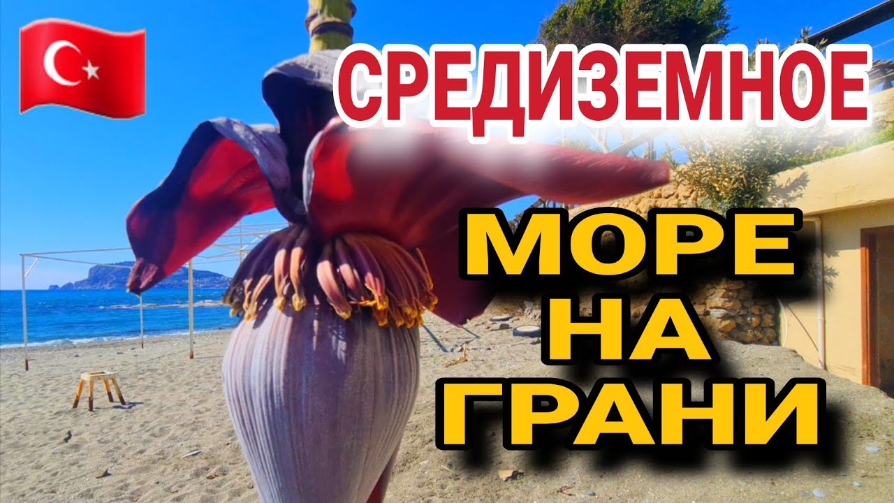 ЭЛИТНЫЙ КУРОРТ ПРЕВРАТИЛСЯ В ПОМОЙКУ❗️ СРЕДИЗЕМНОЕ МОРЕ.